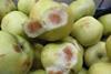 The offending produce