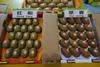Qifeng kiwifruit AFL 2016