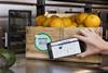 IBM blockchain oranges