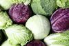 Cabbages