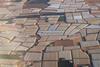 Large-scale Moroccan vegetable production Adobe Stock