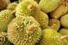 Malaysian durian