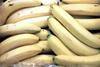Cameroon to boost banana yields