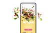 Ample connects British growers with buyers across the food sector