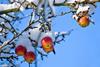 Foto: Jaroslav Machacek - Fotolia