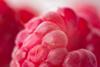 Raspberry closeup Adobe