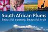 SA plum industry celebrates growth