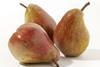 Greenery pears