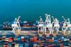 2025news-bioeconomy-science-institute-led-research-secures-over-20-million-to-transfrom-new-zealands-bioeconomy-ship