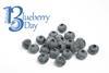 National Blueberry Day