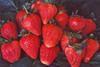 Aussie berries to kick up a storm