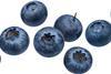 Heidelbeeren-_544386236