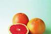 Agrexco looks forward to new citrus season