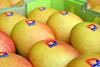 Au mango