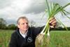 Mark Palmer, partner in Copperwheat Agriculture, with the new season crop
