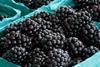 Blackberries CC Dwight Sipler