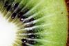 Kiwifruit close-up