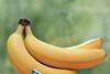 Fairtrade banana