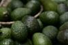 Consumers keep up avocado appetite