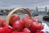 Rubens targets UK breakfast market