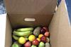 Fresh produce box NZL FIS Scheme
