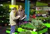 FloraHolland Trade Fair to be bigger and better in 2008