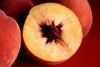 Stonefruit generic CC Jack Dykinga USDA