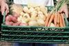 Organic veg market matures