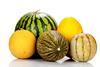 Melonen -