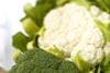 Mechelse Veilingen vegetables