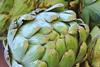 Artichoke