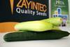 Zayintec Banglas F1 white cucumber