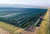 Moldova has invested in modernising its orchards in recent years