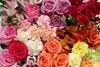 Indies flourish as flower sector evolves