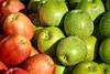 Apples