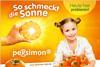 Foto: Schmidt