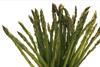 Generic asparagus