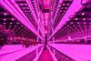 Staay Vertical Farm