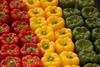 Almería: Gute Preise für Paprika