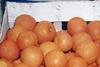 Spanish citrus output forecast to fall