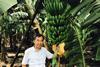 Dr Chao with a mother plant of the new Formosana variety copy