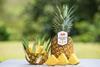 Dole Golden Selection pineapple