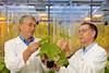 Bayer CropScience test