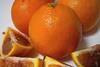 Sicily oranges