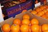 OutbackCitrus