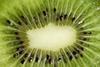 Kiwifruit generic