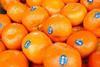 Aus-Delmandarins.Aus