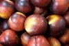 French stonefruit sales fillip