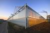 Rising temperatures are affecting output of tomatoes from glasshouses