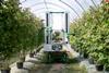 Fieldwork develops robotic crop harvesters